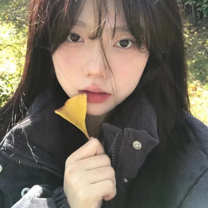 古宅老友记第五季